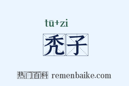 秃子是什么意思的图片
